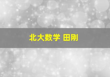 北大数学 田刚